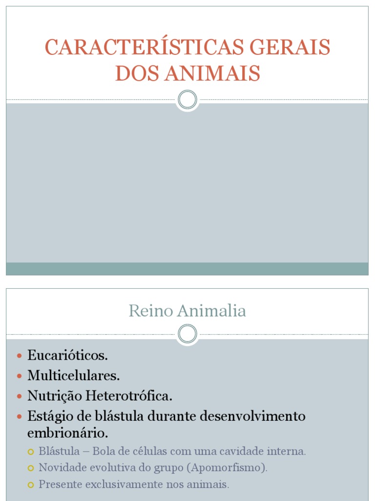 Caracteristicas Gerais Dos Animais | PDF | Zoologia | Organismos