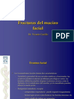 6585061-Fracturasfaciales