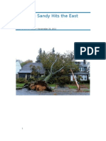 Hurricane Sandy Hits The East Coast: Ime Umana Cause and Effect Essay - Novemeber 20, 2012