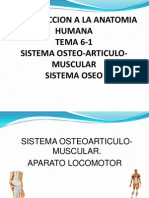 6-1-Sistema Osteoarticulo-Muscular-Oseo