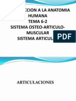 6-2-SISTEMA OSTEOARTICULO-MUSCULAR-ARTICULAR.ppt