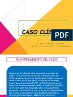 Claudia Caso Clinico Psicodinamico