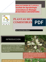 Plantas Silvestres Comestibles de Mexico