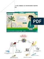 Actividades de La Guia Animada de Reconociendo Nuestro Entorno Económico