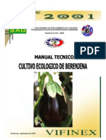 Cultivo Ecologico de La Berenjena