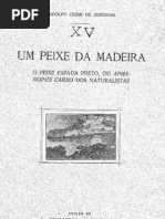 1925-acnoronha-peixe espada