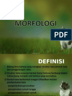 MORFOLOGI