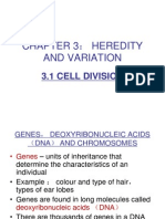 GENES DNA CHROMOSOMES CELL DIVISION INHERITANCE