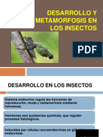 Metamorfosis y Crecimiento