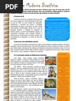 texto-120609204920-phpapp02