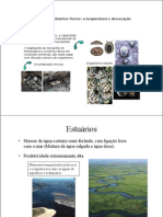 Outros parâmetros físicos e comunidades de estuários