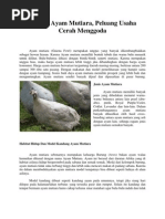 Download Ternak Ayam Mutiara by Amatiran SN135948712 doc pdf