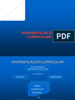 Diversificacion Curricular