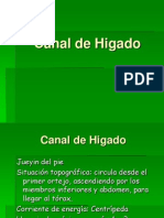 Canal de Higado