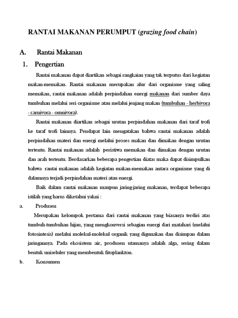 Rantai Makanan Perumput