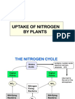 Uptake of Nitrogen by Plants