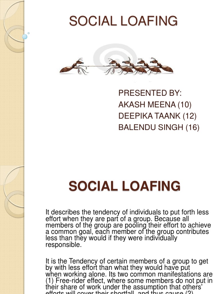 What Is Social Loafing Definition And Examples vrogue.co
