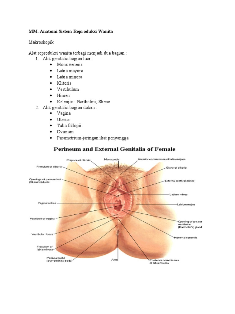 Ofis porno qora tanli ayollar