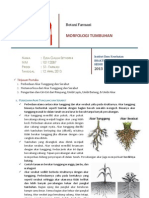 Botani Farmasi MORFOLOGI TUMBUHAN