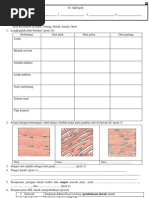 Download lks jaringan hewan by Ria Mahardika Mahar SN136047600 doc pdf