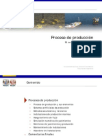 Proceso de Produccion PDF