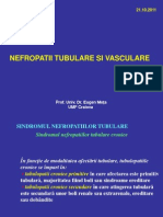 Curs+3+Nefropatii+Tubulare+Si+Vasculare