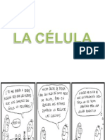 La Célula y Rep Celular