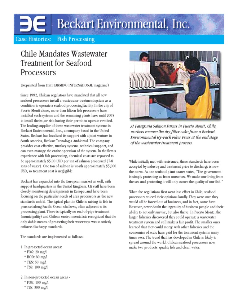 Patagonia financial statement image