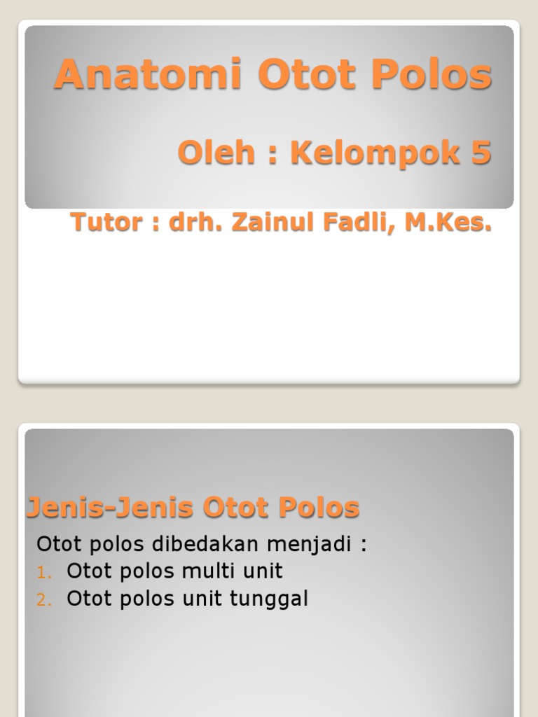 Anatomi Otot Polos