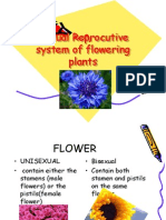 Sexual Reproductive Systems of Flowering Plants