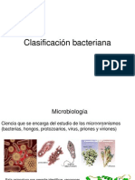 clasificación bacteriana