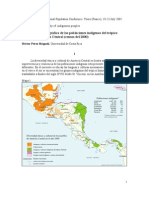 Territorios Indígenas de Centroamerica Perez Brignoli