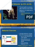 Action Potential