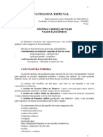 74497543 Resumo Vasos Sanguineos Patologia