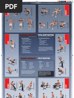 upper body dumbbell exercises pdf