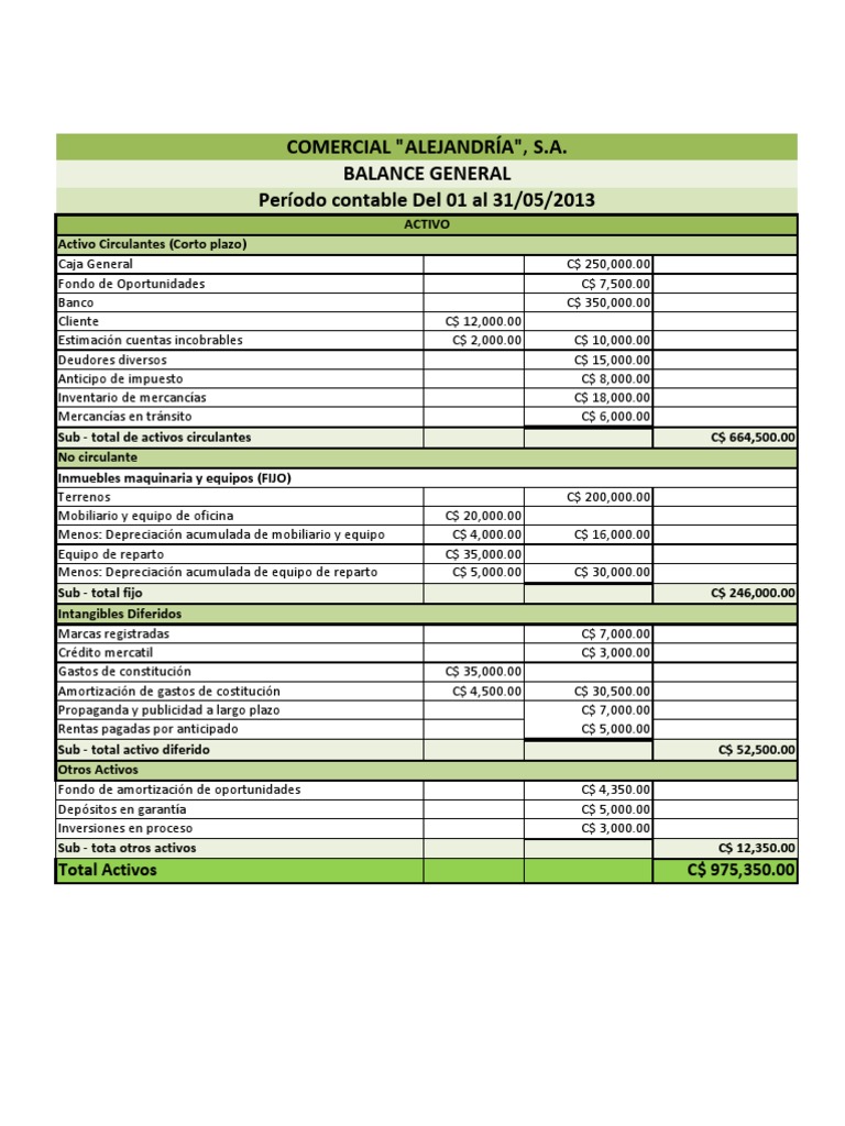 Balance General Experto Amortización (Negocio) Contabilidad