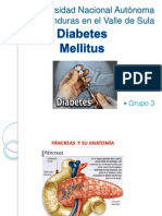 Diabetes Fisiopato II