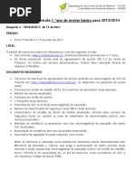 Informacao Matriculas 1 Ano 2012 2013 2
