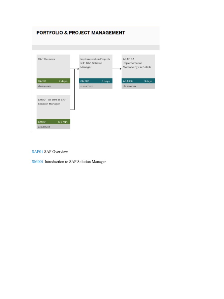 SAP Overview & Solution Manager | PDF