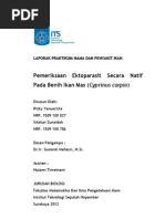Download Pemeriksaan Ektoparasit Secara Natif by Rizky Yanuarista SN136222818 doc pdf