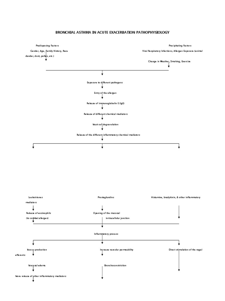 BRONCHIAL ASTHMA IN ACUTE EXACERBATION CASE STUDY SCRIBD