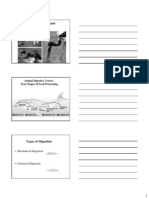 Animal Nutrition and Digestion: Animal Digestive Tracts: Four Stages of Food Processing