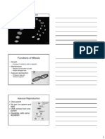 Cellular Division: Functions of Mitosis