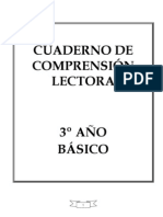 CUADERNILLO DE COMPRENSION LECTORA