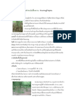 km5 PDF