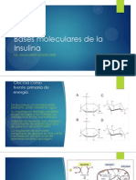 Bases Moleculares de La Insulina