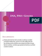 Dna, Rna y Genoma
