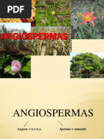 Angio Sperm As