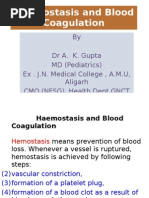 Download Coagulation of Blood by drakgupta6924 SN13628947 doc pdf