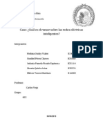 Caso de Redes Eléctricas Inteligentes